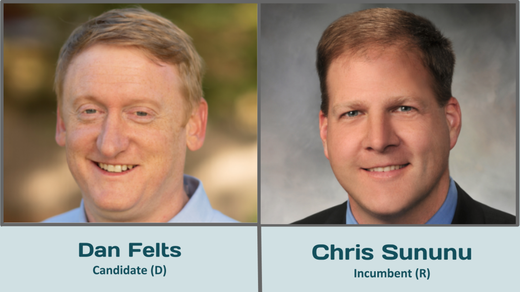 NH 2020 Governor Race