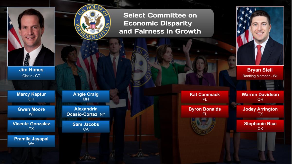 Select Committee on Economic Disparity and Fairness in Growth