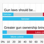 US Gun politics