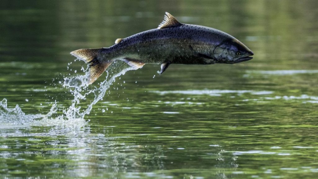 Jan 1-6, 2023 ... US Gov News