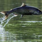 Jan 1-6, 2023 ... US Gov News