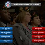Committee on Veterans' Affairs (Senate)