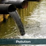 Pollution