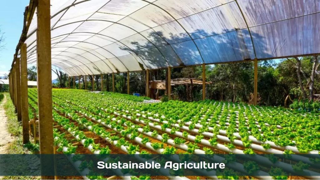 Sustainable Agriculture