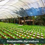 Sustainable Agriculture