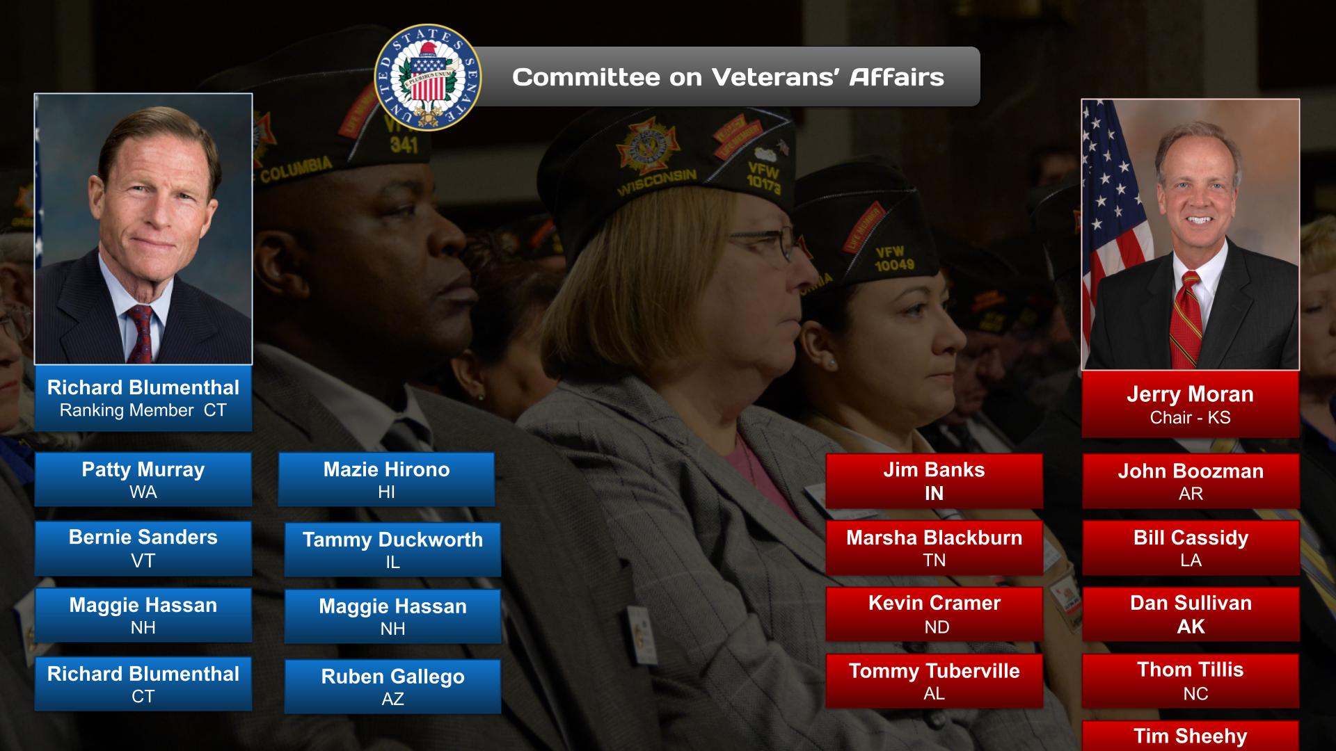 Veterans' Affairs Committee (Senate)