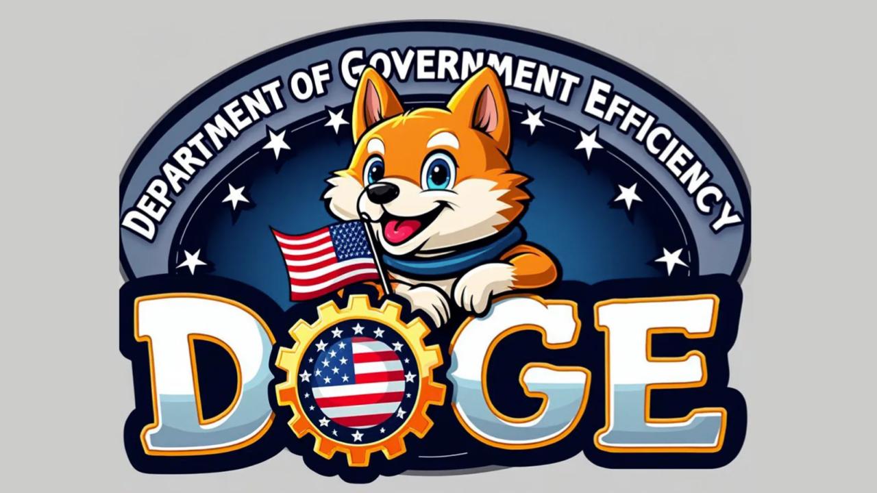 DOGE: Department of Government Efficiency