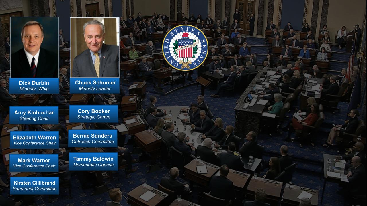 Senate Democrats - 119th Congress